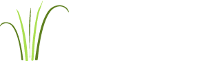 The Green Garden Co., Ashtead, Surrey